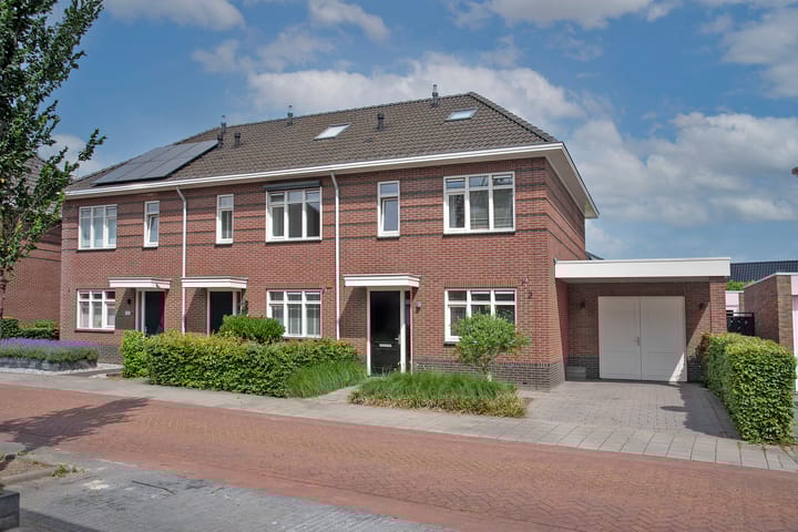 Speenkruid 2 in Rijssen foto