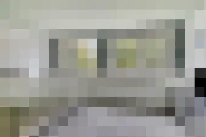 Speenkruid 31 Purmerend thumbnail 18