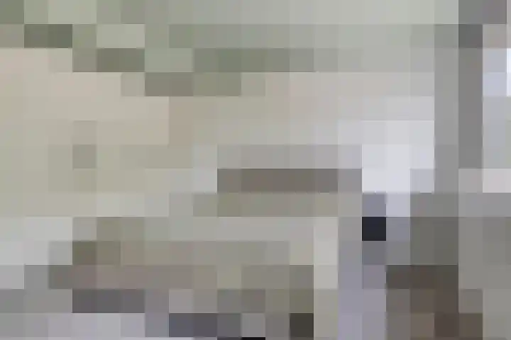 Speenkruid 31 Purmerend thumbnail 19