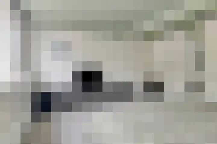 Speenkruid 31 Purmerend thumbnail 20