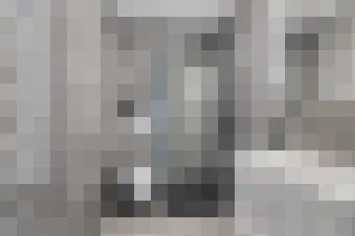 Speenkruid 31 Purmerend thumbnail 21