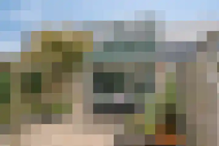 Speenkruid 31 Purmerend thumbnail 31