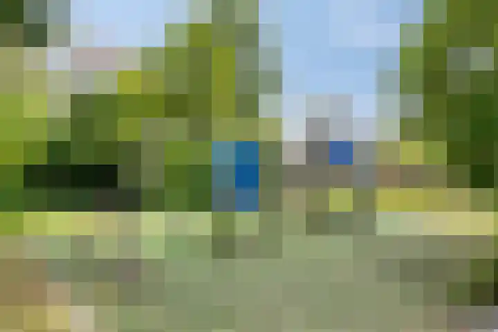 Speenkruid 31 Purmerend thumbnail 35
