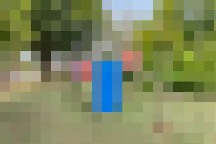 Speenkruid 31 Purmerend thumbnail 36