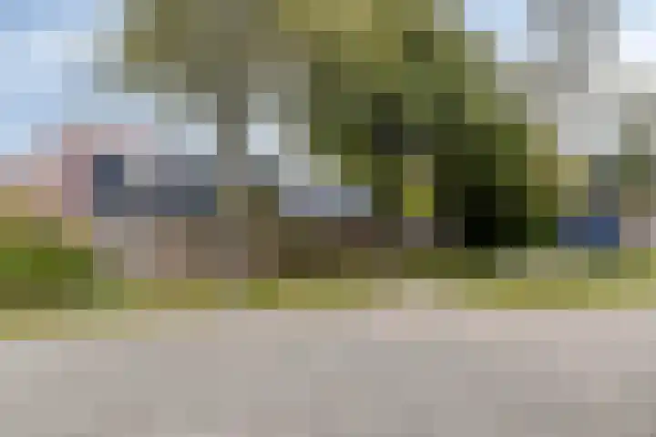 Speenkruid 31 Purmerend thumbnail 39