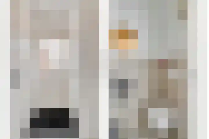 Speenkruid 31 Purmerend thumbnail 8