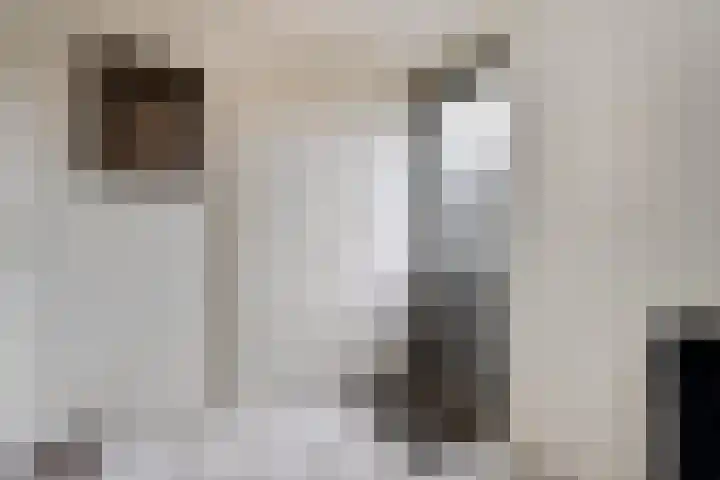 Speenkruid 35 Beilen thumbnail 18