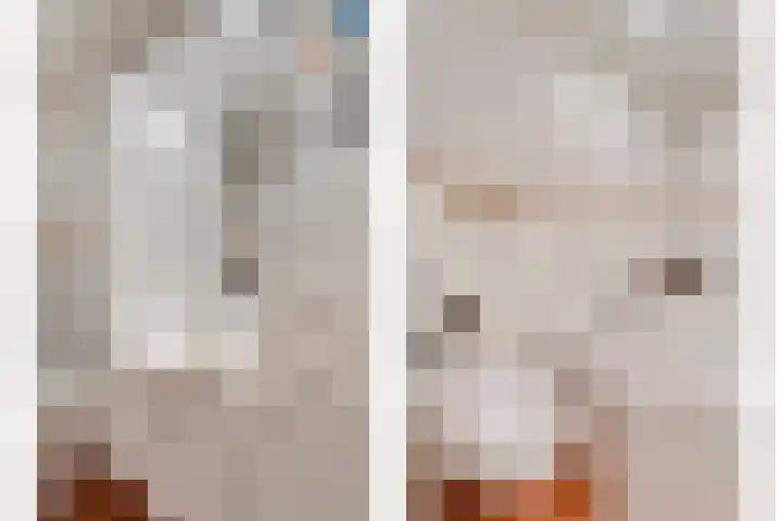 Speenkruid 35 Beilen thumbnail 29