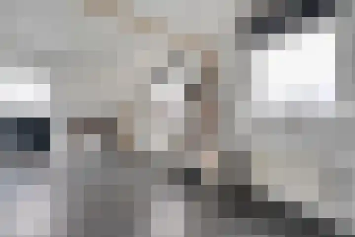 Speenkruid 35 Beilen thumbnail 30