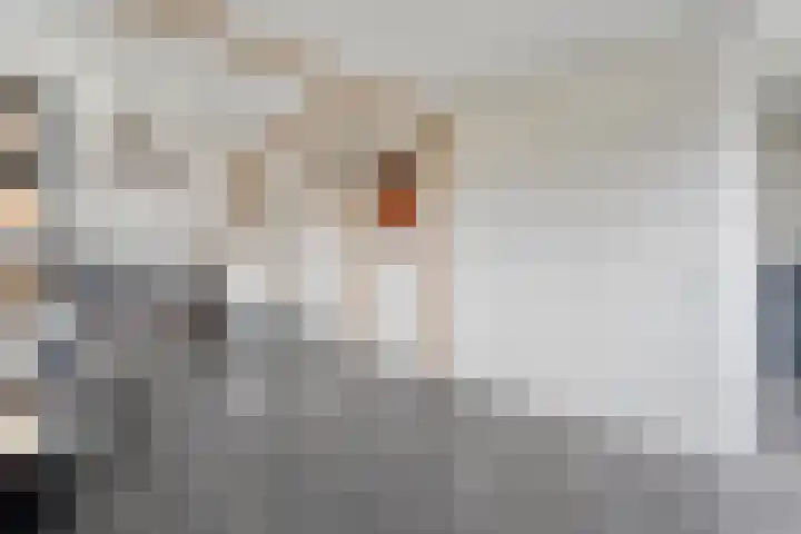 Speenkruid 35 Beilen thumbnail 31