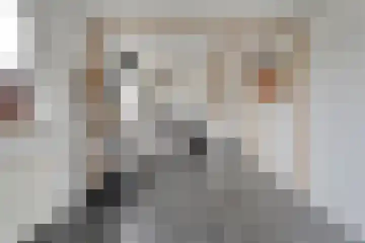 Speenkruid 35 Beilen thumbnail 33