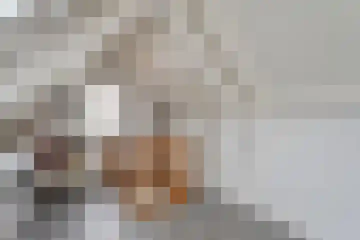 Speenkruid 35 Beilen thumbnail 35