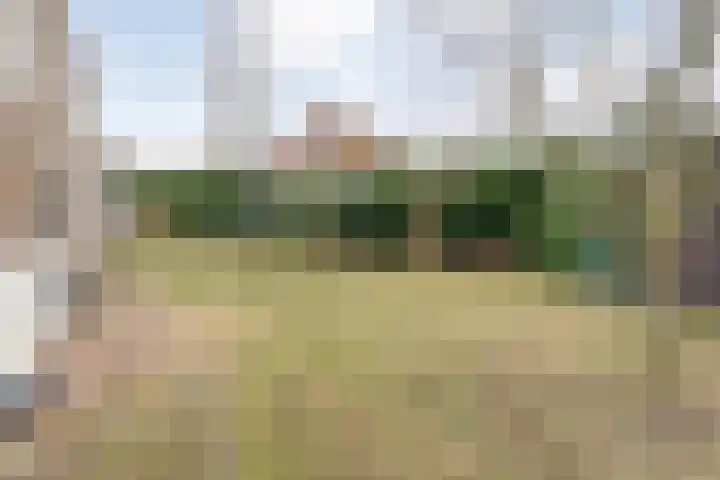 Speenkruid 35 Beilen thumbnail 36