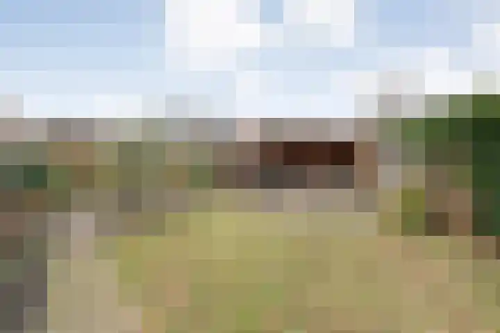 Speenkruid 35 Beilen thumbnail 39