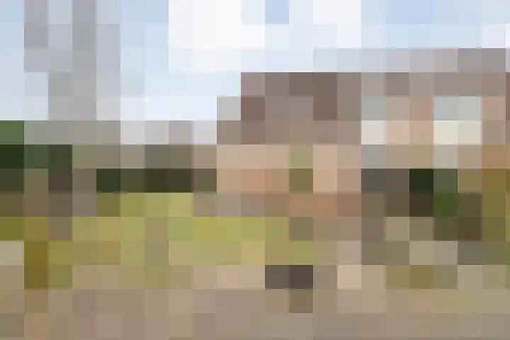 Speenkruid 35 Beilen thumbnail 42