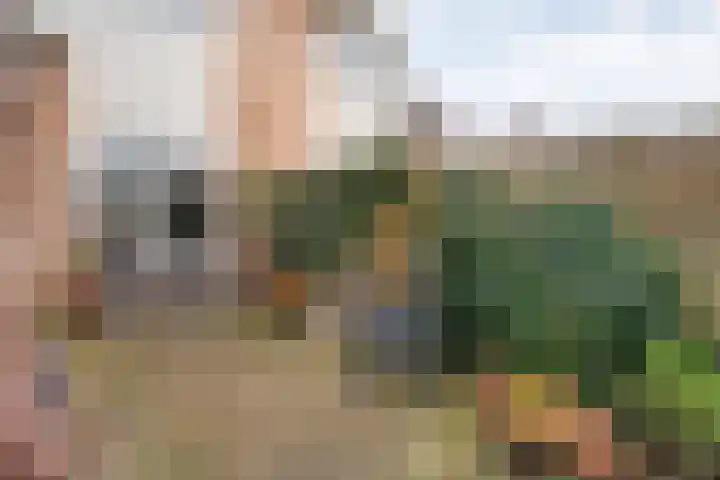 Speenkruid 35 Beilen thumbnail 44