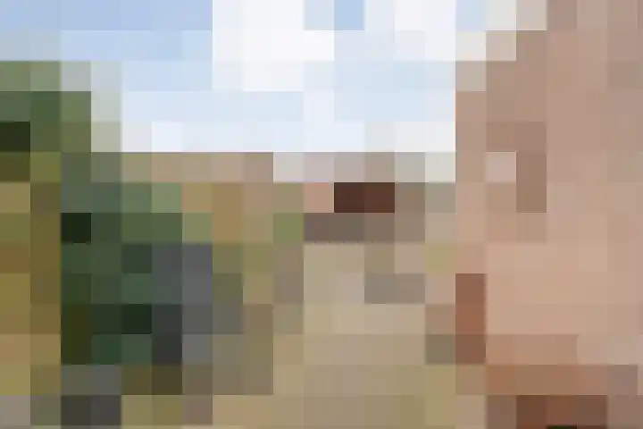Speenkruid 35 Beilen thumbnail 45