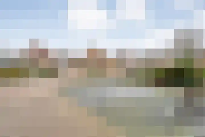 Speenkruid 35 Beilen thumbnail 46