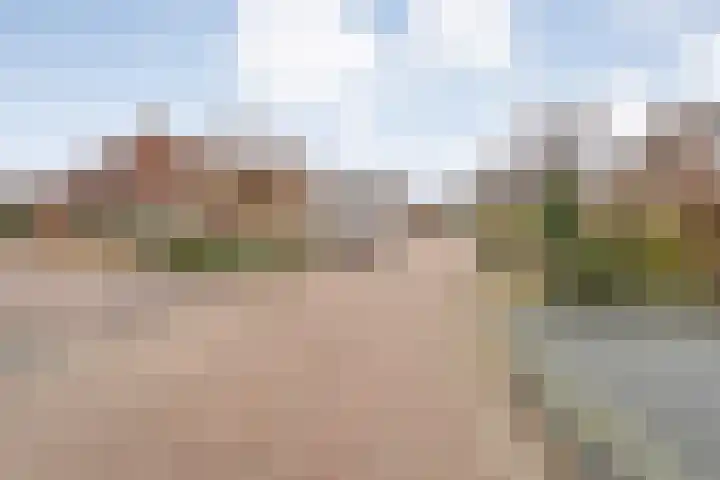 Speenkruid 35 Beilen thumbnail 47