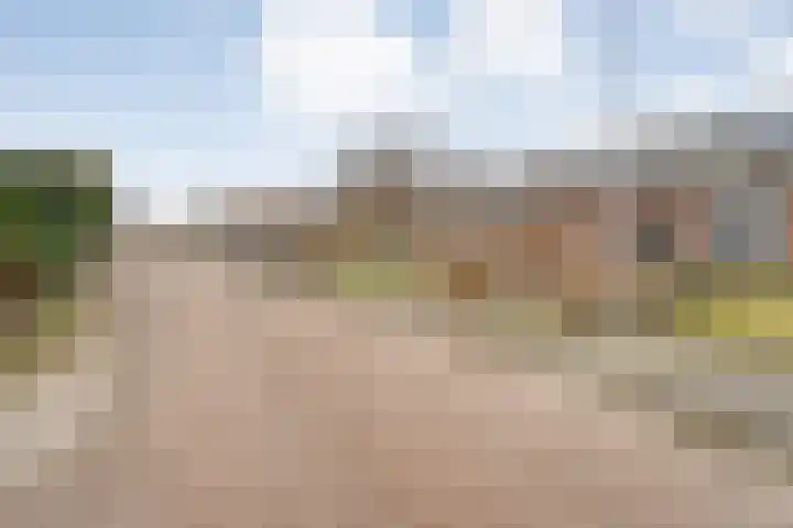 Speenkruid 35 Beilen thumbnail 48