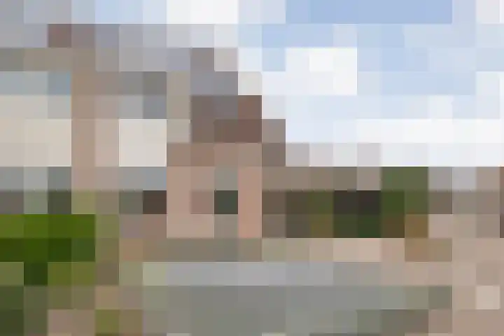 Speenkruid 35 Beilen thumbnail 49