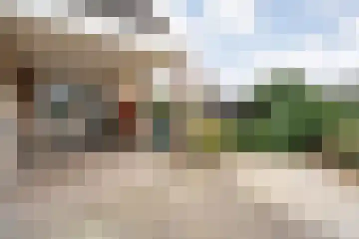Speenkruid 35 Beilen thumbnail 50