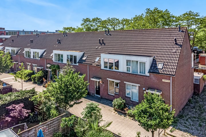 Speenkruid 4 in Diemen foto