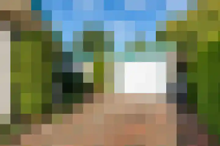 Speenkruid 7 Bedum thumbnail 10