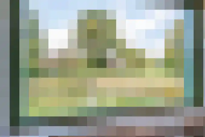 Speenkruid 7 Bedum thumbnail 25