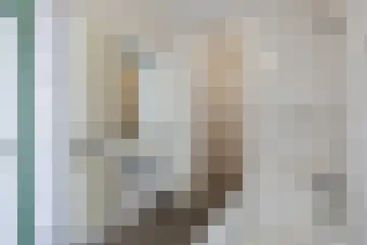 Speenkruid 7 Bedum thumbnail 37