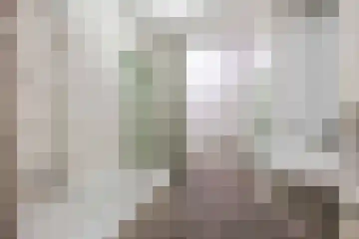 Speenkruid 7 Bedum thumbnail 39