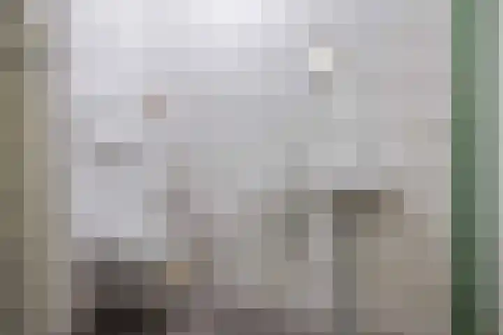 Speenkruid 7 Bedum thumbnail 40