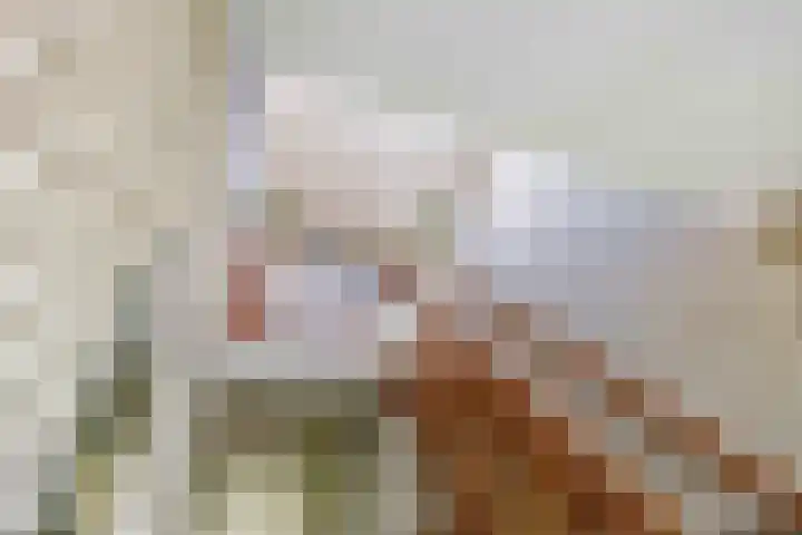 Speenkruid 7 Bedum thumbnail 41
