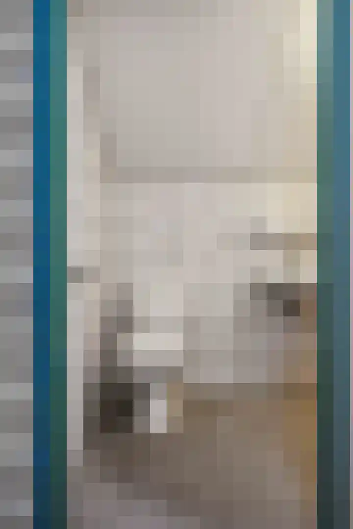 Speenkruid 7 Bedum thumbnail 44