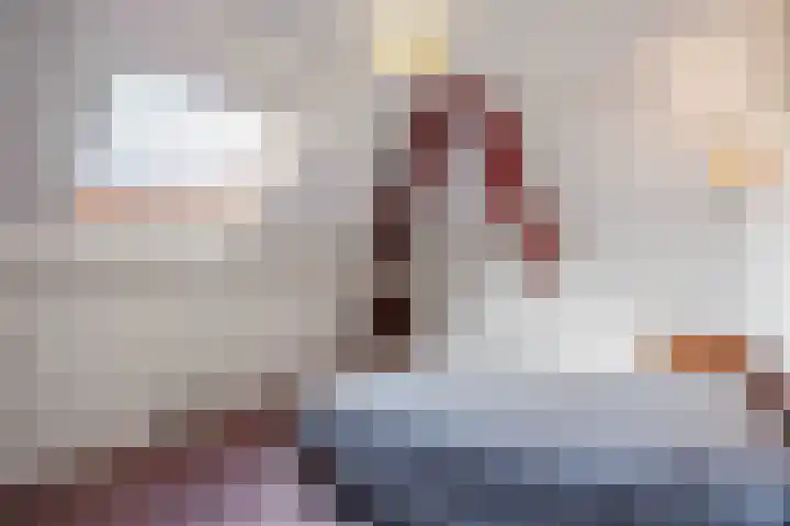 Speenkruid 7 Bedum thumbnail 46