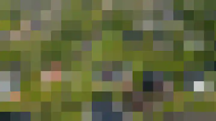 Speenkruid 7 Bedum thumbnail 5