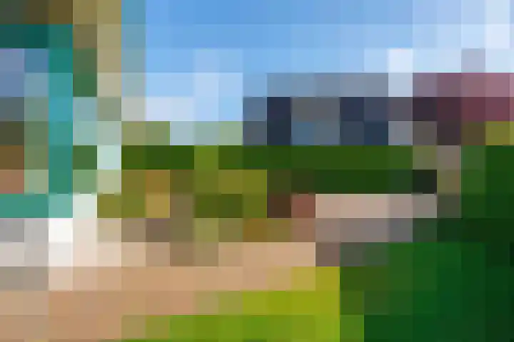 Speenkruid 7 Bedum thumbnail 53