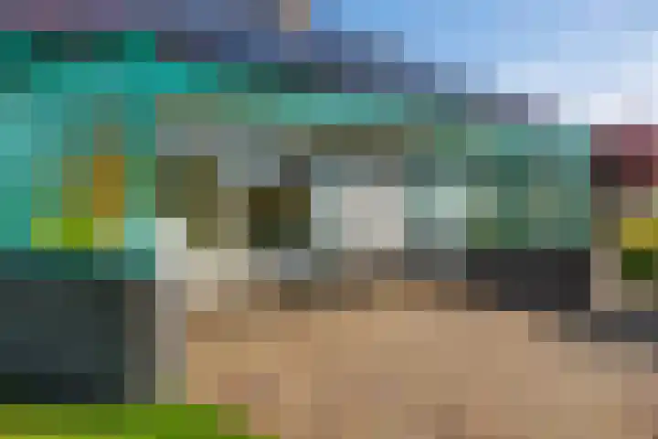 Speenkruid 7 Bedum thumbnail 55