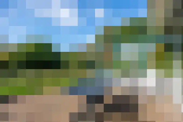 Speenkruid 7 Bedum thumbnail 56