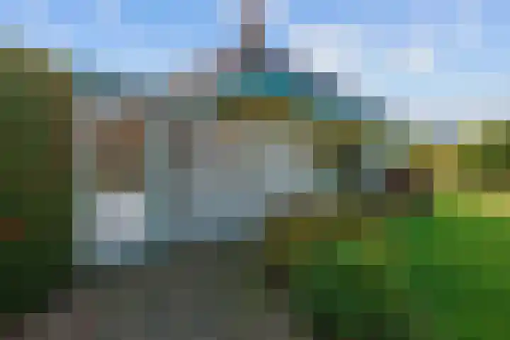 Speenkruid 7 Bedum thumbnail 59