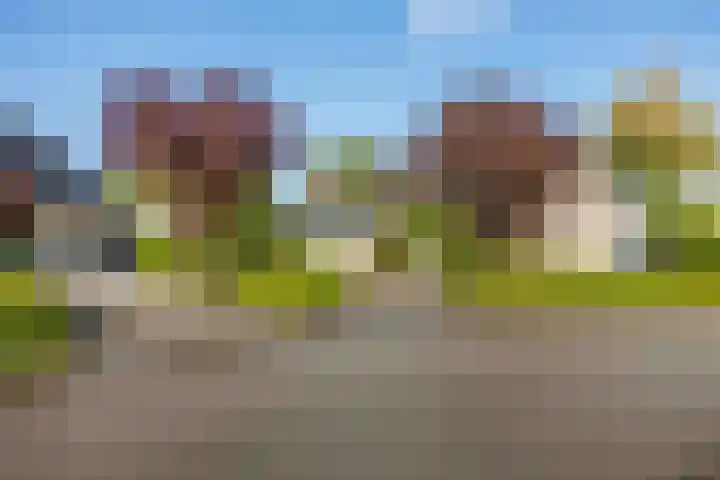 Speenkruid 7 Bedum thumbnail 6