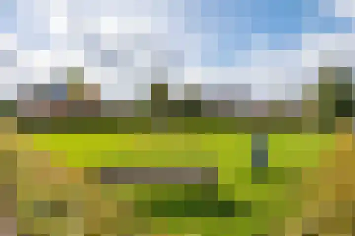 Speenkruid 7 Bedum thumbnail 60