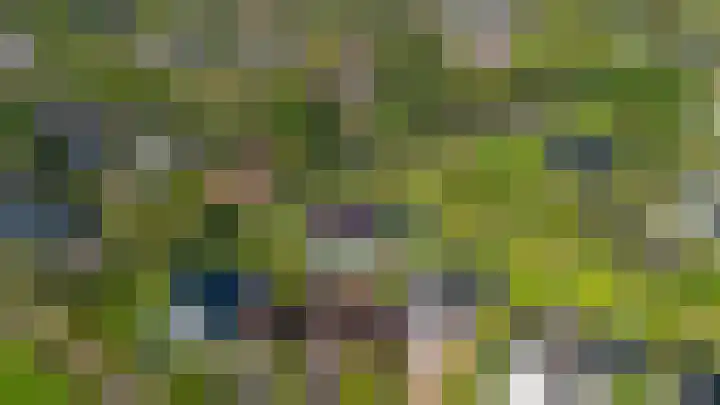 Speenkruid 7 Bedum thumbnail 61