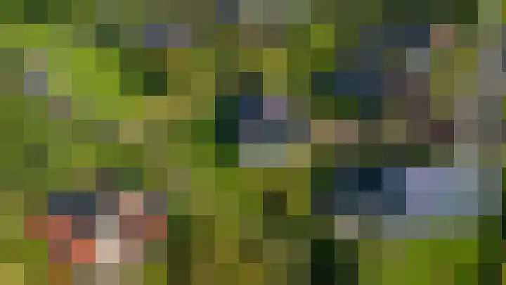 Speenkruid 7 Bedum thumbnail 62