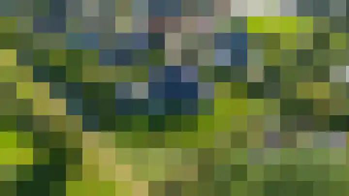 Speenkruid 7 Bedum thumbnail 63