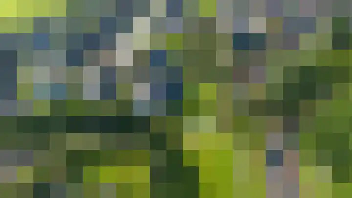 Speenkruid 7 Bedum thumbnail 64