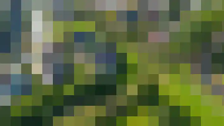 Speenkruid 7 Bedum thumbnail 65