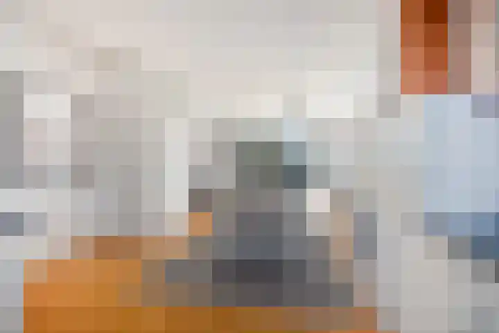Speenkruid 7 Purmerend thumbnail 17