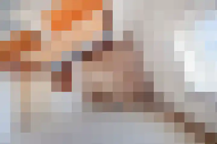 Speenkruid 7 Purmerend thumbnail 31