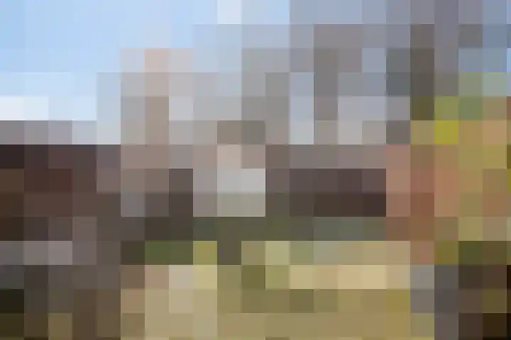 Speenkruid 7 Purmerend thumbnail 34